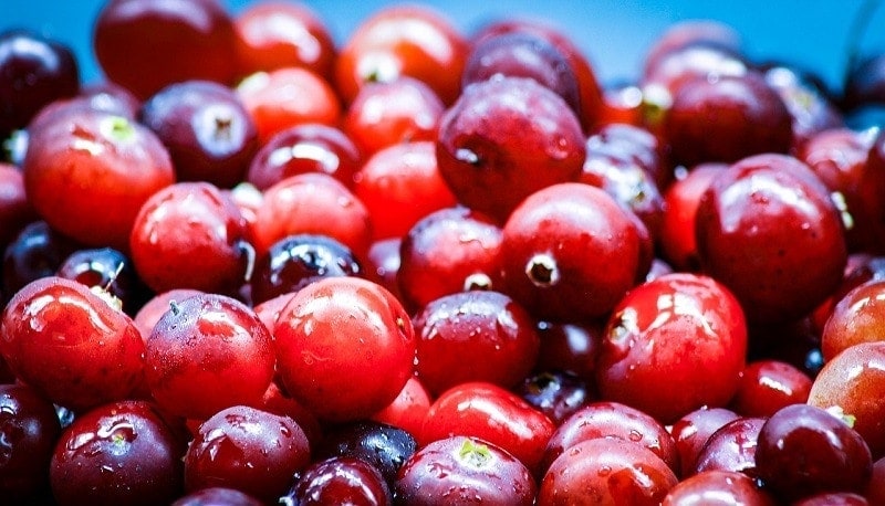 cranberries