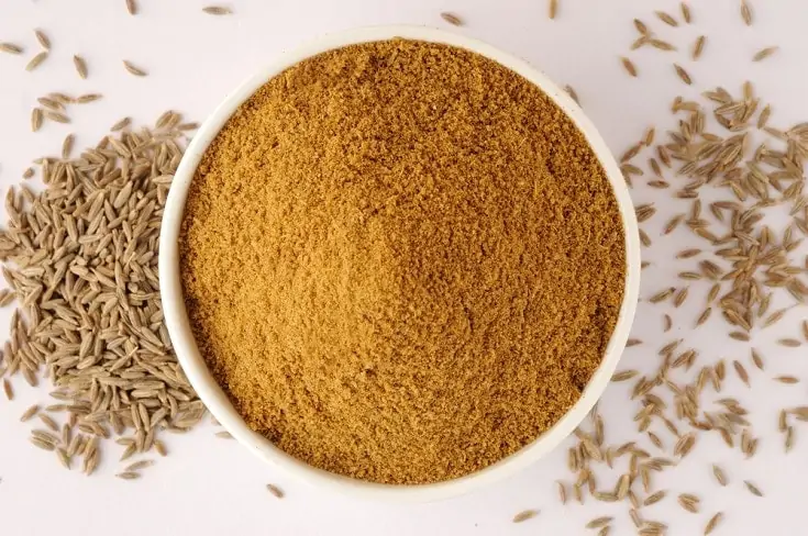 Can Dogs Eat Cumin? Vet-Approved Nutritional Info cumin powder