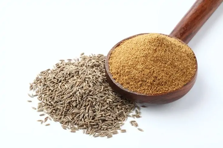 Can Dogs Eat Cumin? Vet-Approved Nutritional Info cumin