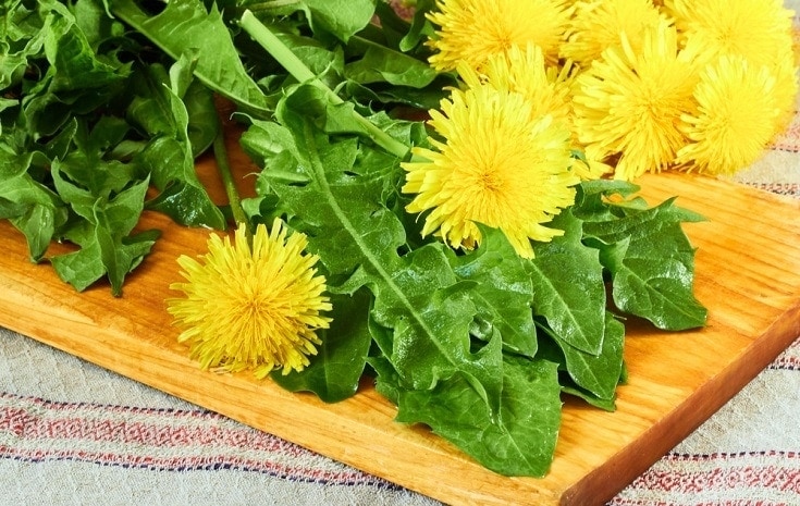 dandelions on a board