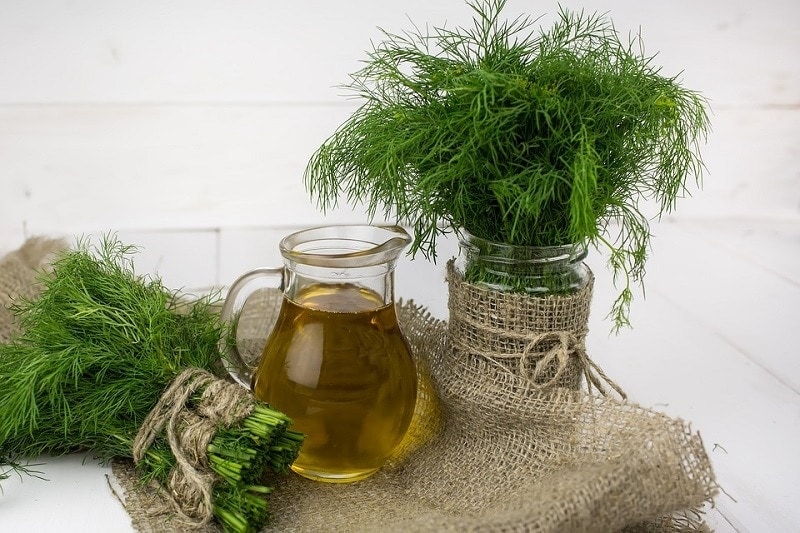 dill spice