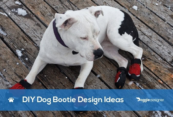 custom dog boots