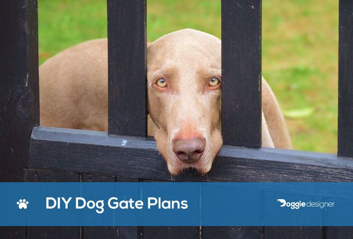 pvc pet gate