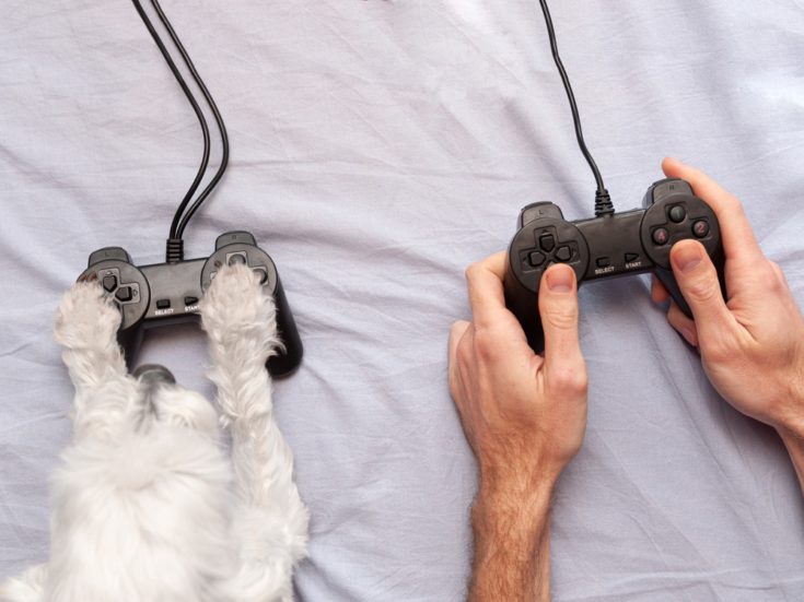 owner and dog gaming together