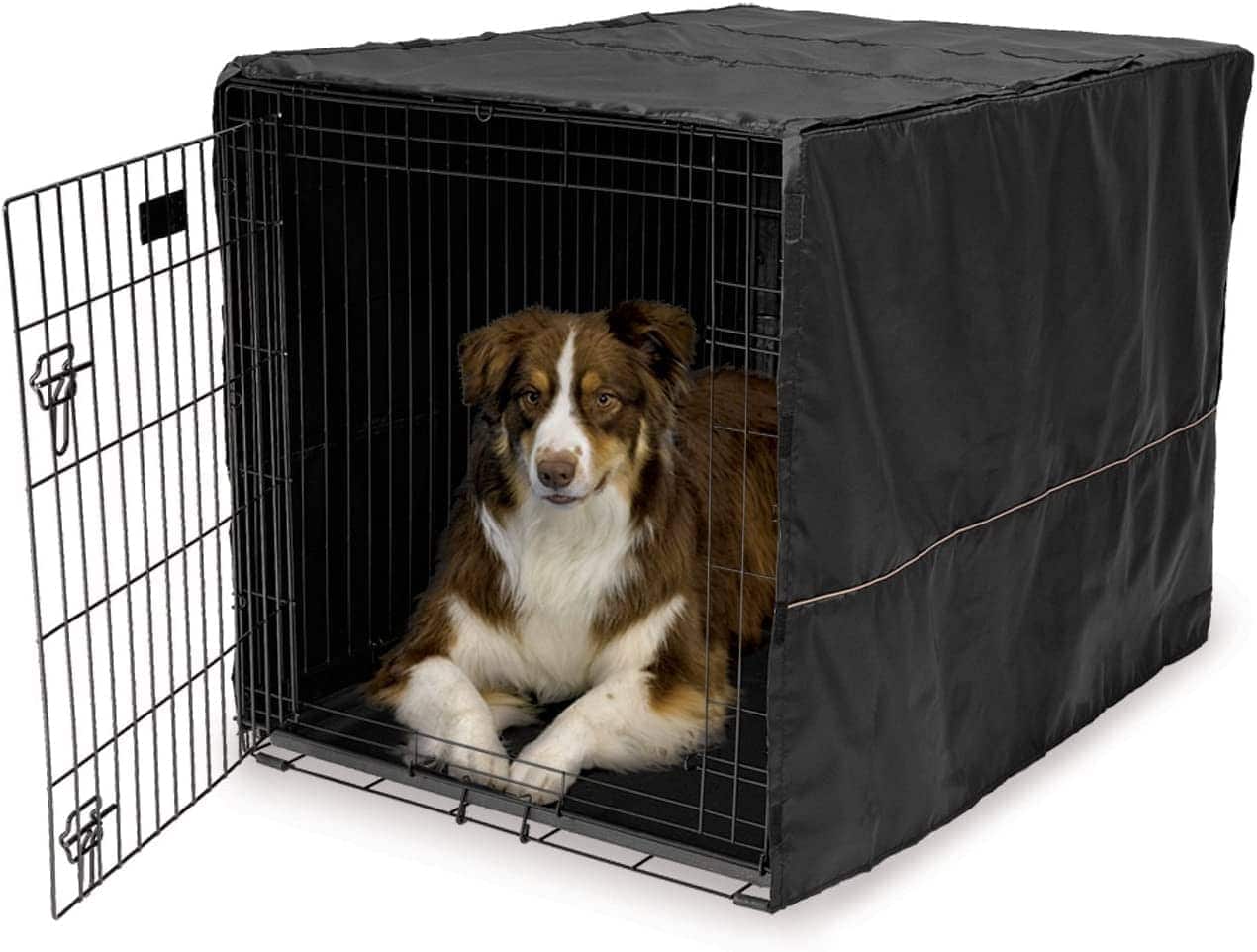 Dog crate noise best sale reduction