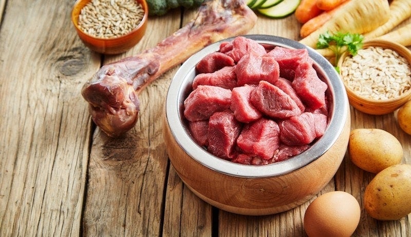 Homemade dog food recipes for small dogs vet approved hotsell