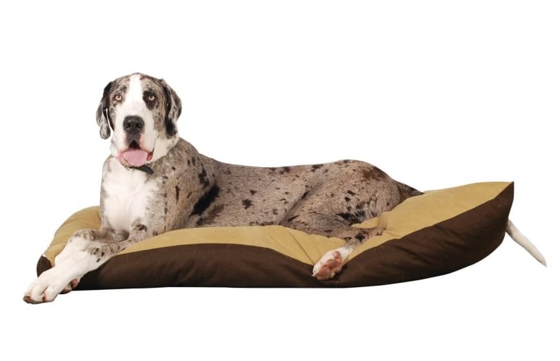 a great dane dog bed