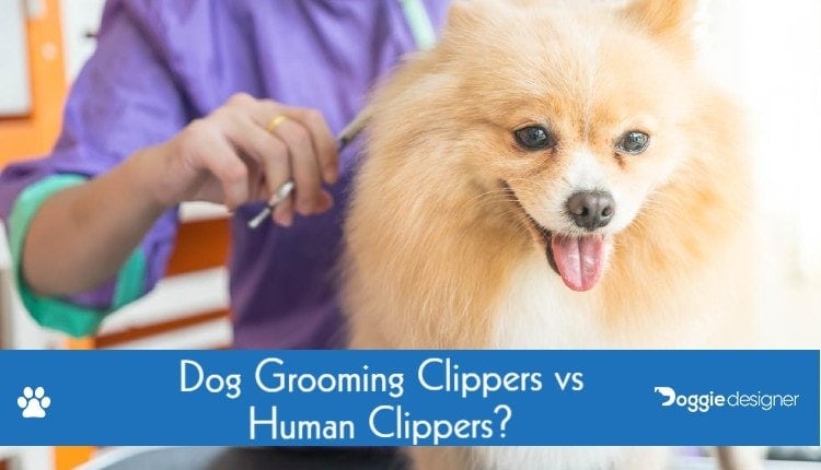 Dog Grooming Clippers Vs Human Clippers What S The Difference Hepper