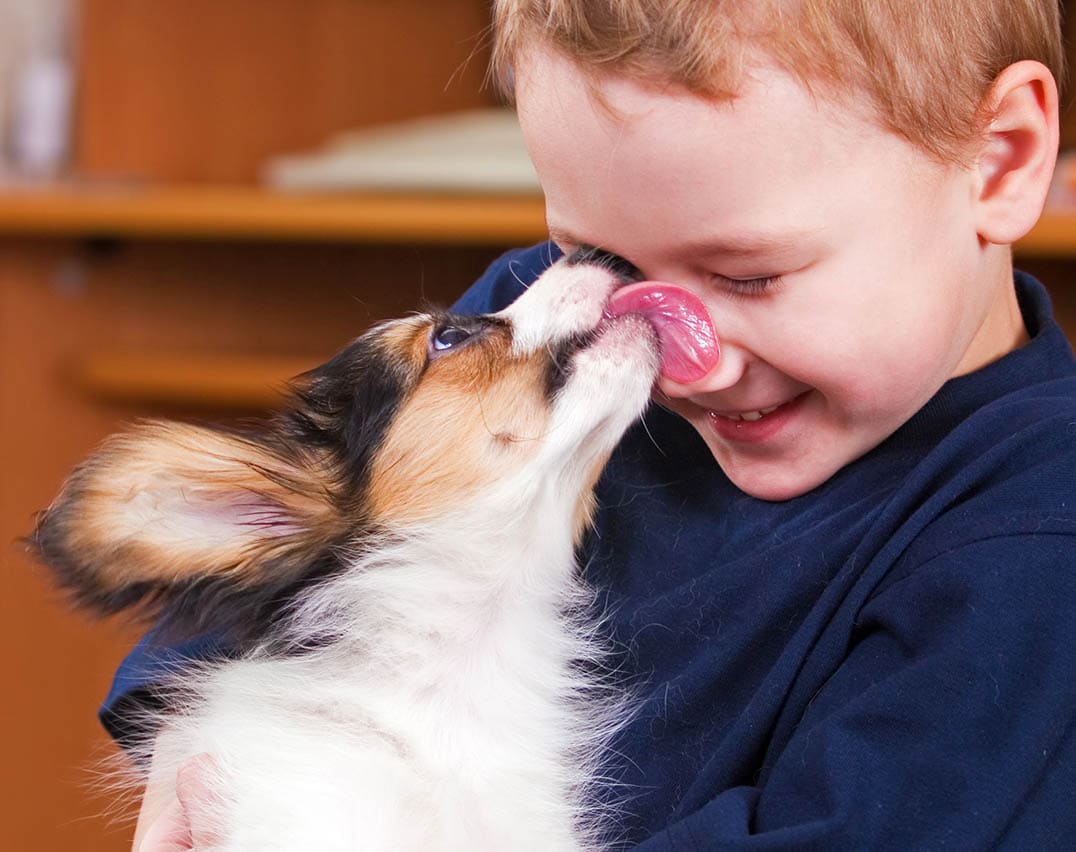 dog licking boy