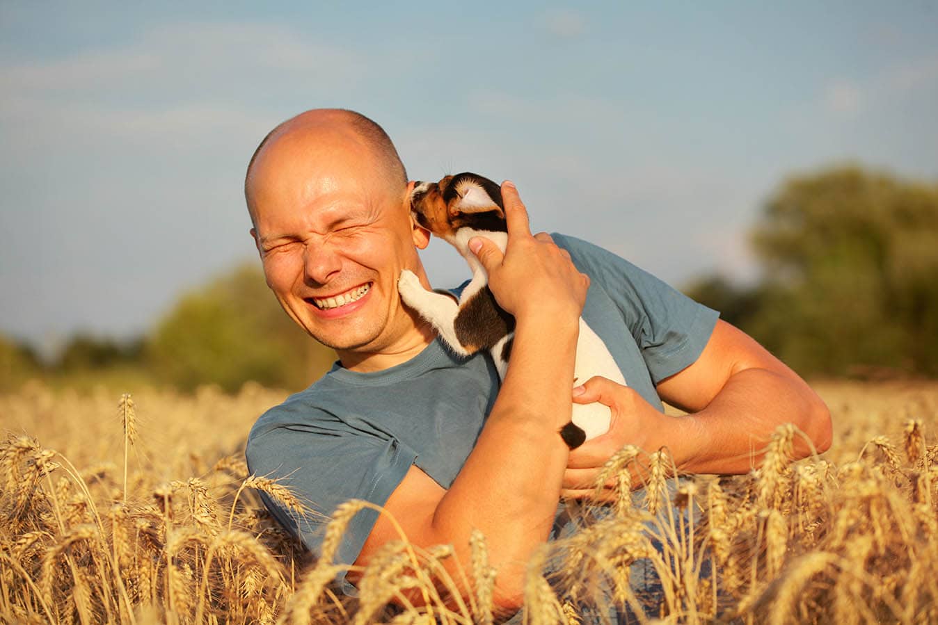 dog licking man's ear