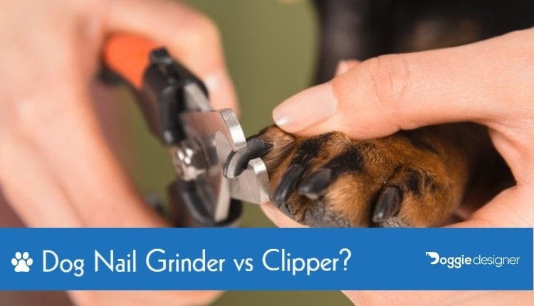 dog nail grinder vs clipper