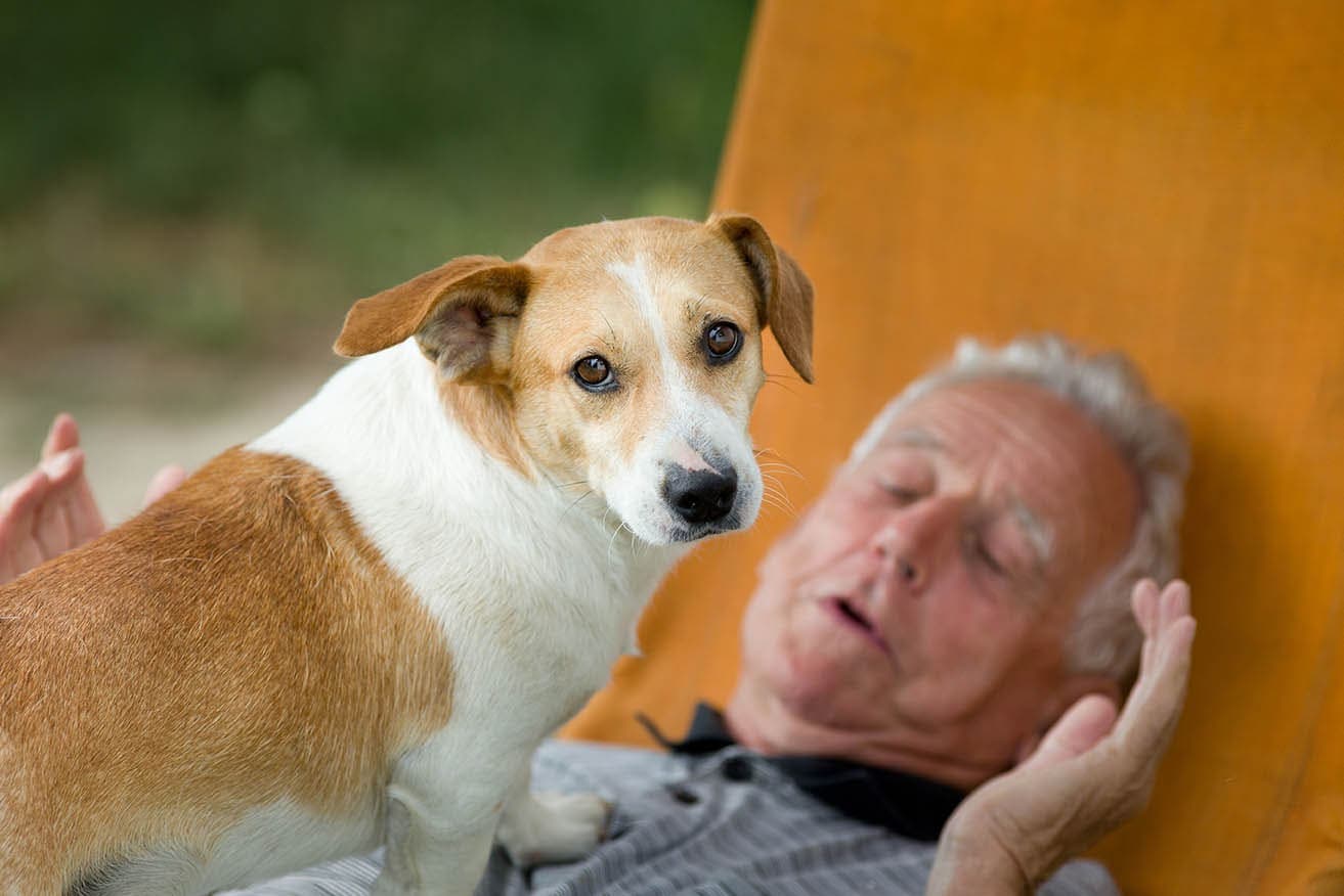 dog standing in old man's chest