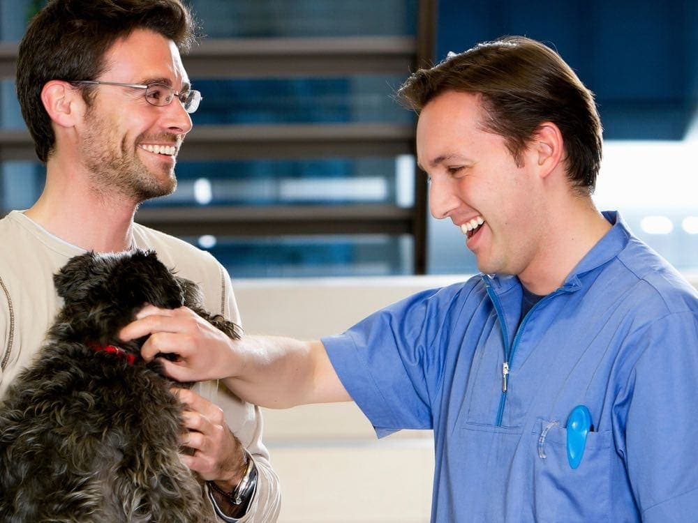 dog trainer vet talking to man with dog