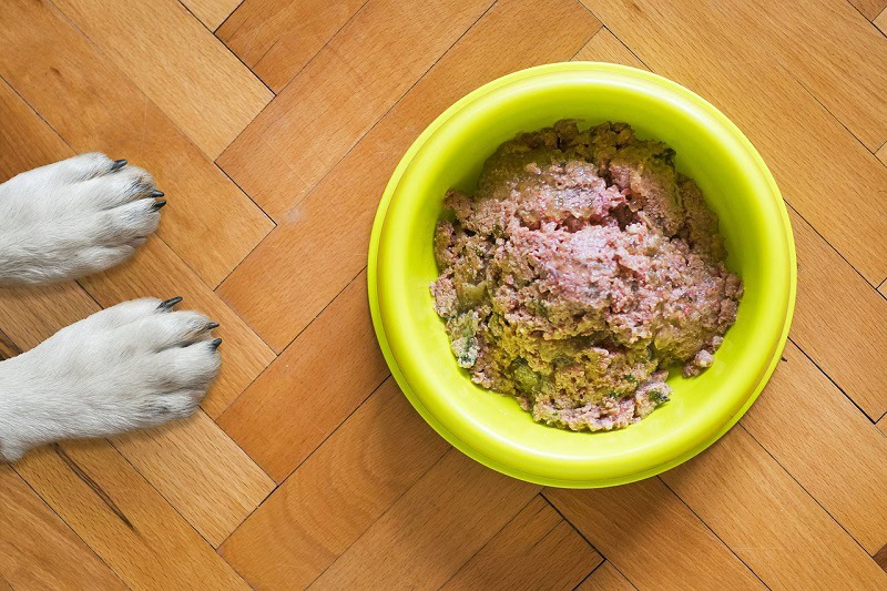 is wet or dry food best for dogs