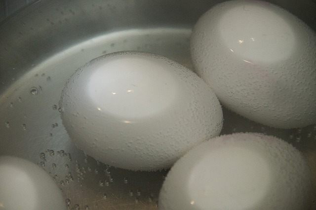 Can Dogs Eat Hard-Boiled Eggs