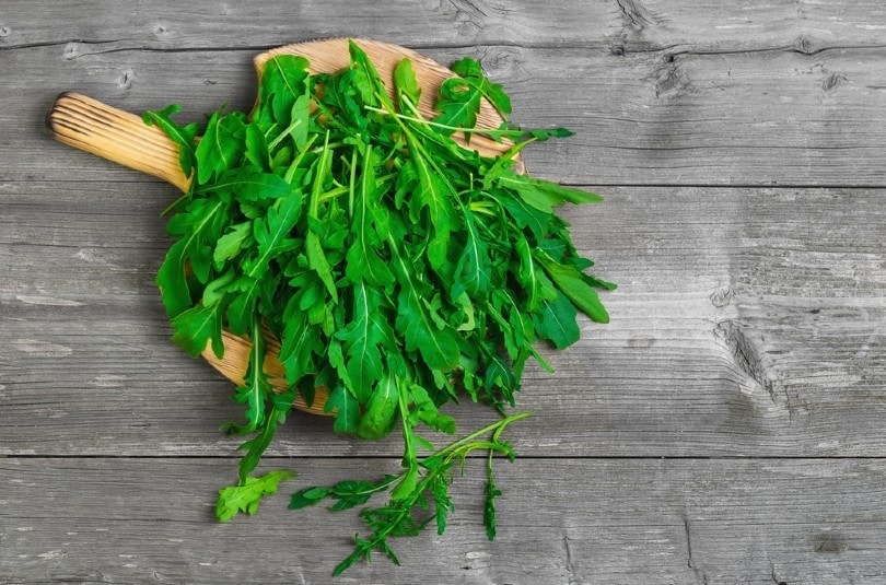 fresh arugula leaves on wooden board