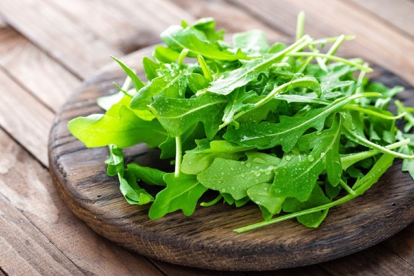 fresh arugula leaves