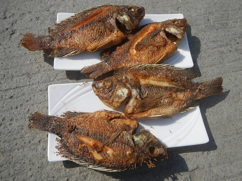 fried tilapia