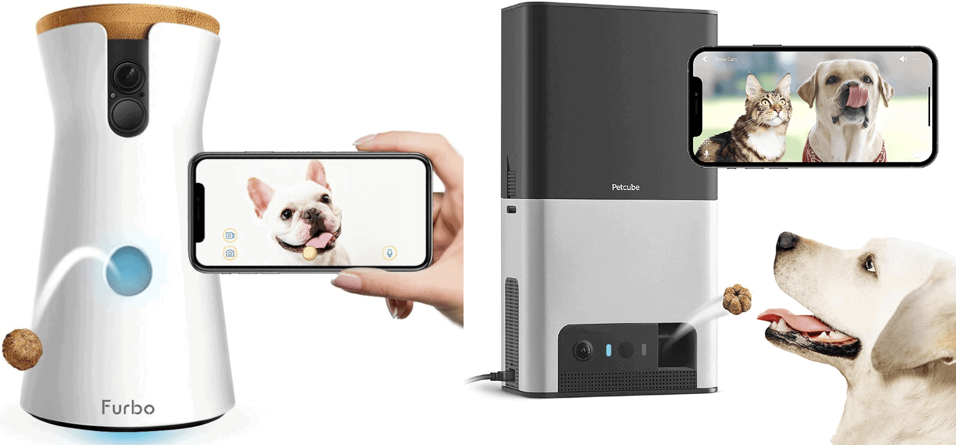 dog camera with sound