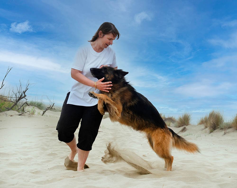 german shepherd jumps on a woman