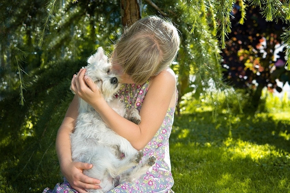 girl hugging a dog