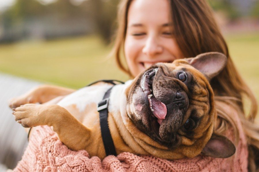 happy with dog