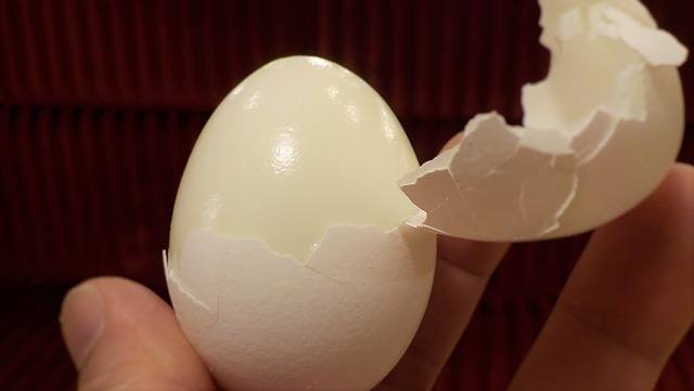 Hard-Boiled Egg
