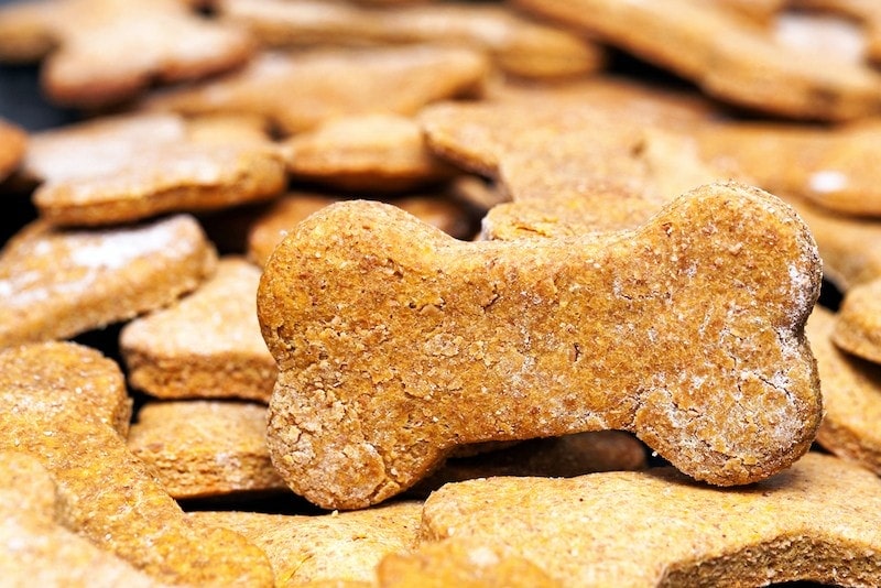 homemade dog treat biscuits