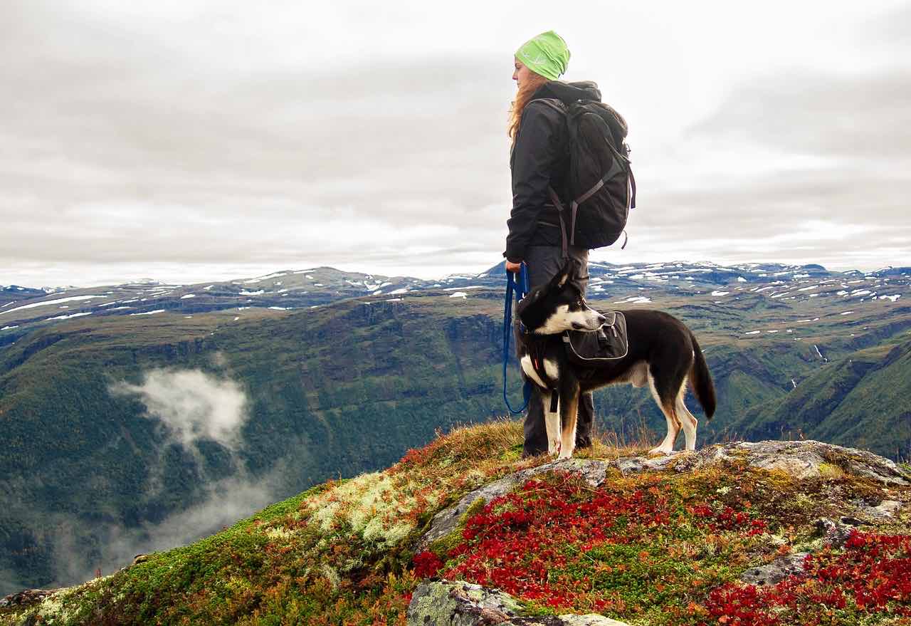 husky hiking with girl