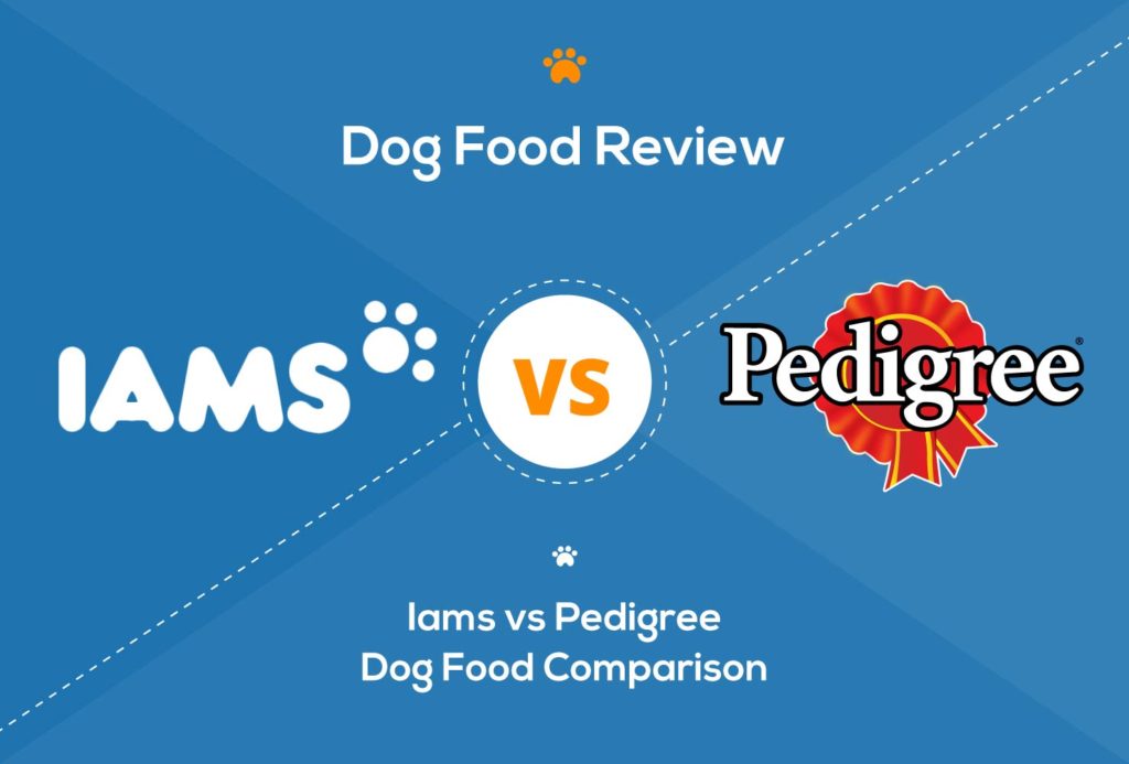 Iams vs Pedigree Dog Food 2022 Comparison Hepper