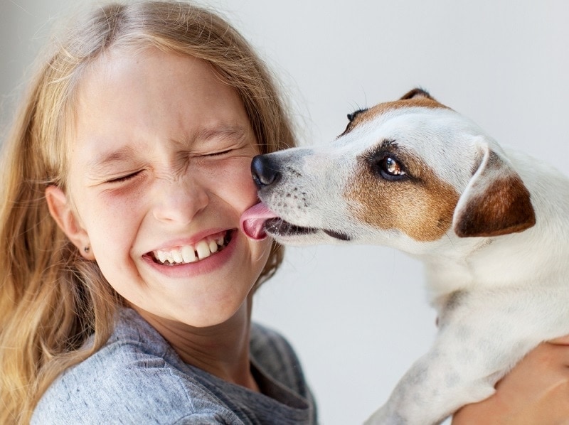 Dog Licking