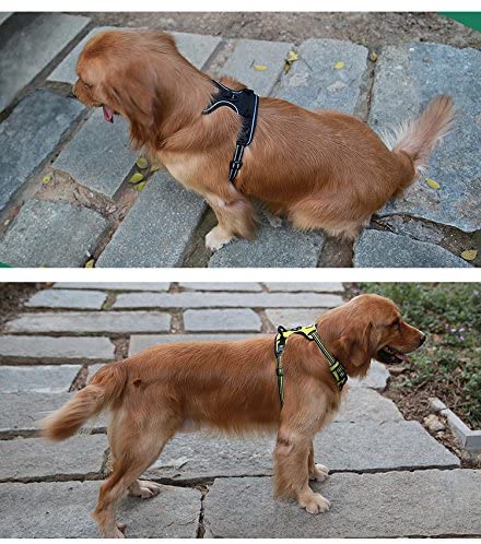 juxzh Truelove Soft Front Dog Harness With 2 Attachments