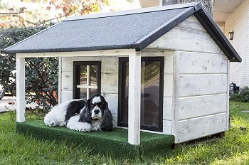 Dog House for Hot Weather