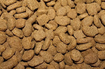 kibble dog food