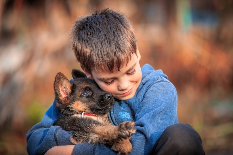 kid-german-shepherd-dog-puppy