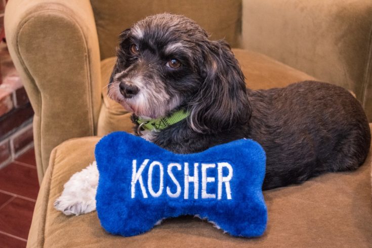 kosher pup