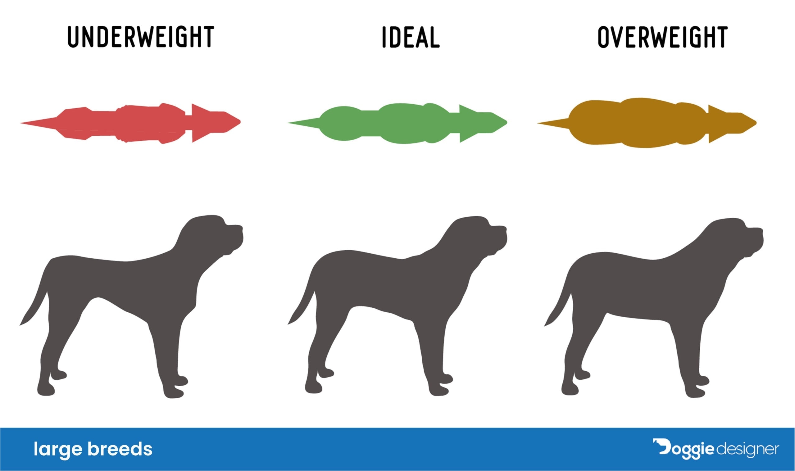 large dog weight
