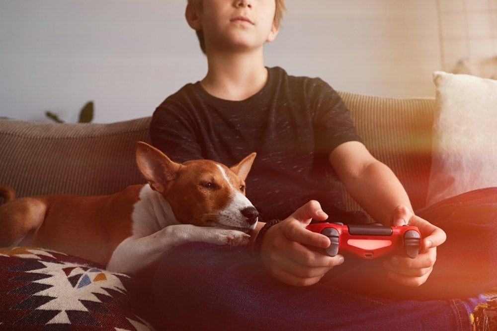 boy gaming with his puppy