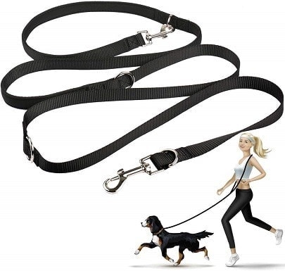 no hands dog leash