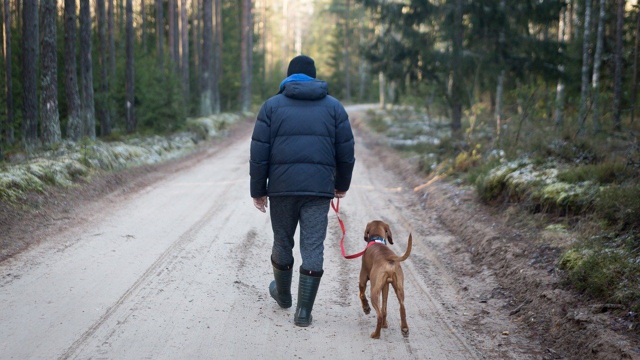 man and dog walking