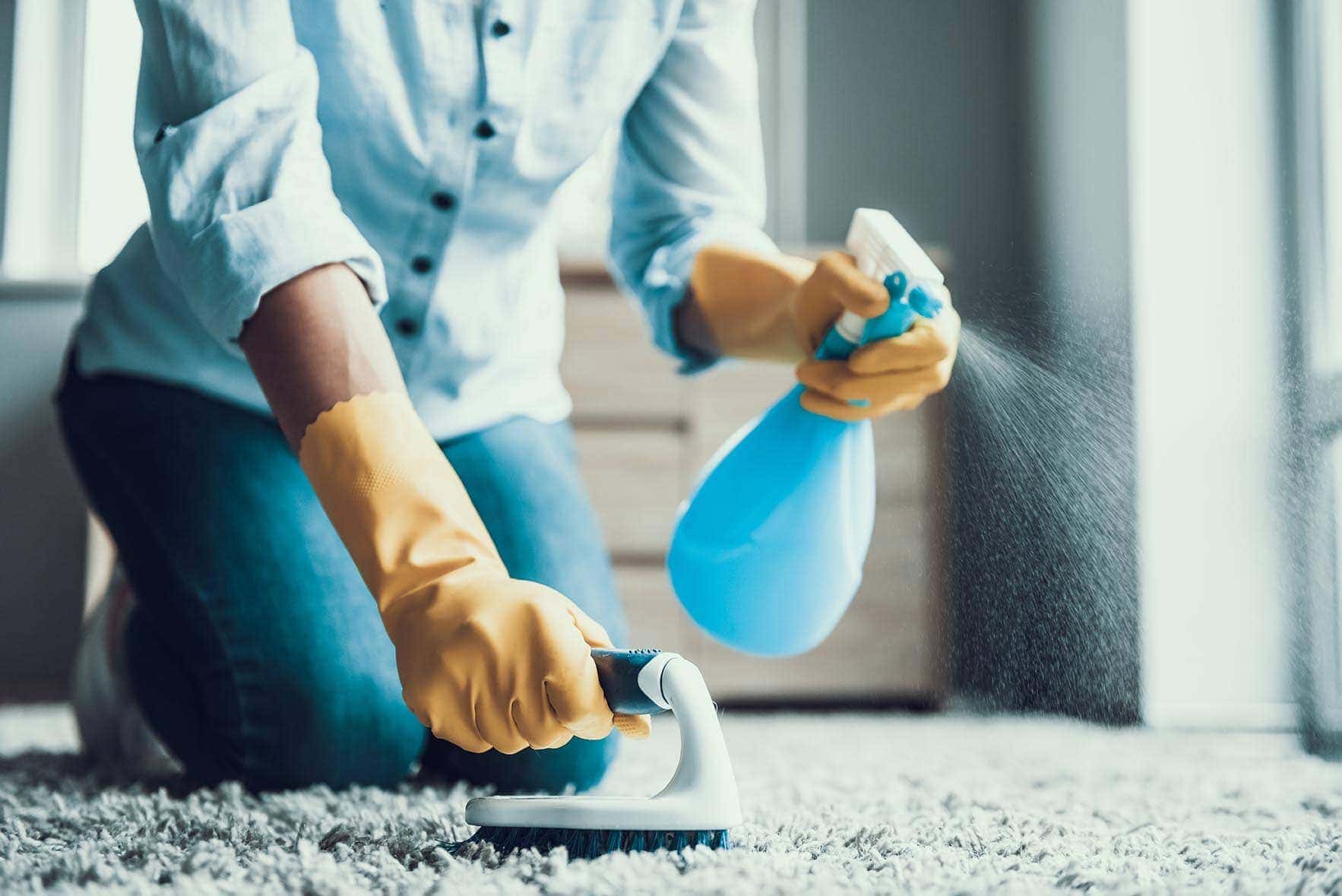 person cleaning the carpet