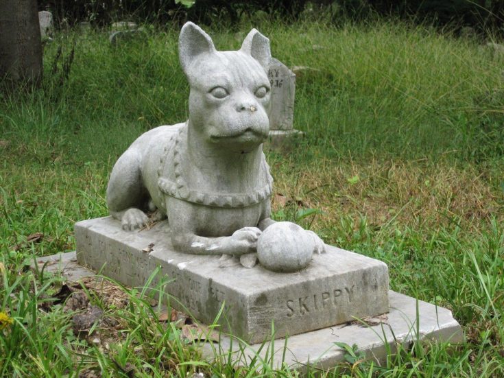 pet grave