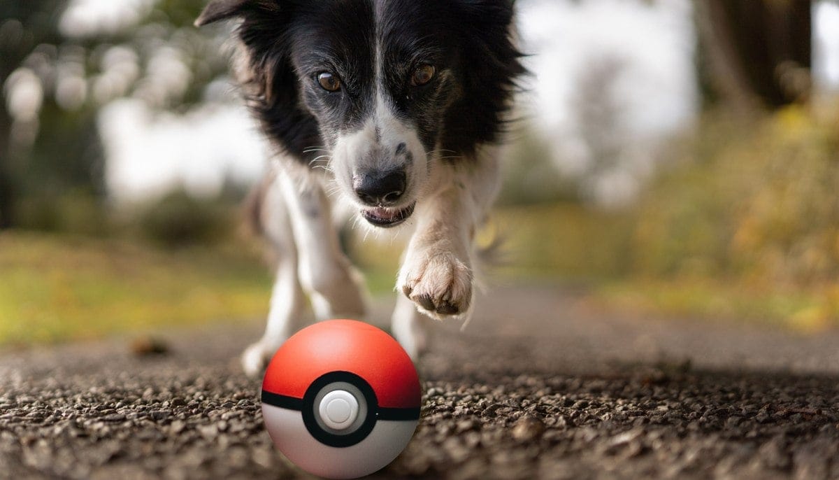 100+ Anime Dog Names: Ideas for Geeky & Cool Dogs (With Meanings) | Hepper