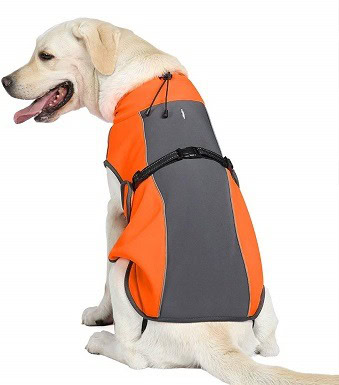 dog reflective gear