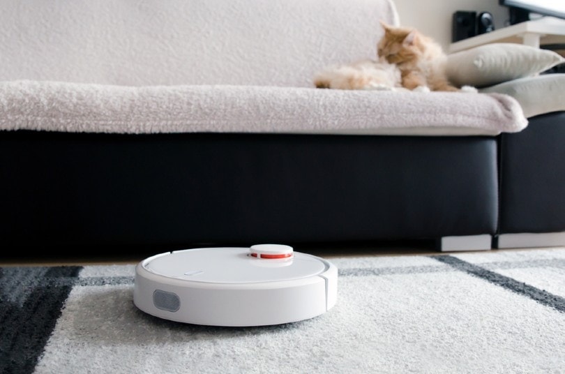 robot vacuum cleaning up pet hairs in the living room