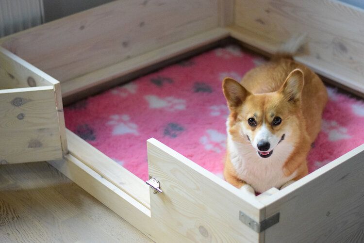 4 DIY Whelping Boxes You Can Build Today With Pictures Hepper
