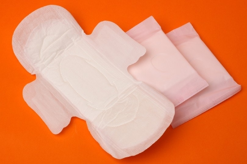 sanitary pad