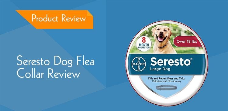 seresto collar effectiveness