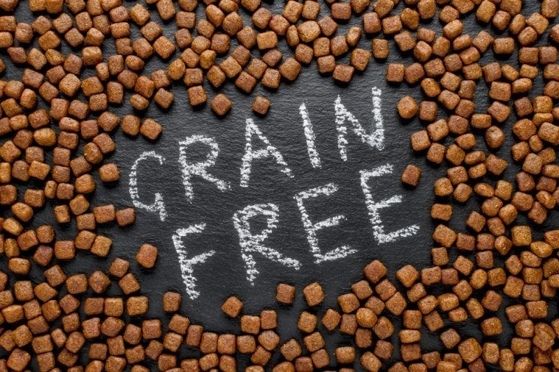 grain free dog food