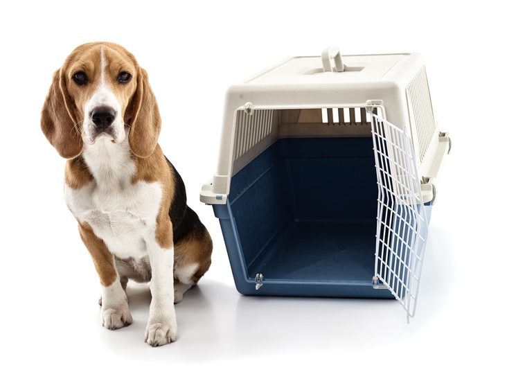 plastic crate